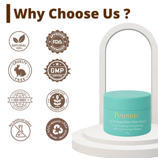 Perenne Lip Sleeping Mask (Mint Choco) | For Dry & Chapped Lips | Lip Plumping & Depigmentation | Hydrating & Nourishing | Kojic Acid & Vitamin C (10 gm)