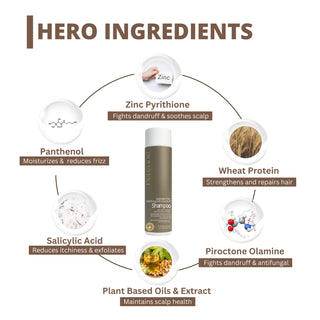 Perenne Sulphate-Free Clarifying Anti-Dandruff Shampoo | Controls Dandruff, Flakiness & Itchy Scalp | Zinc Pyrithione, Piroctone Olamine & Salicylic Acid | Paraben & Sulphate Free| All Hair Types | For Men & Women (250ml)