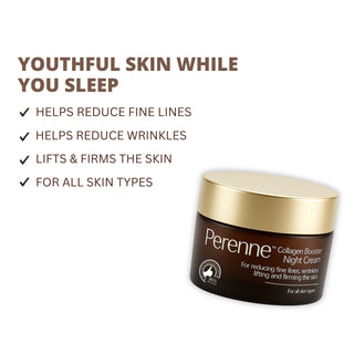 Perenne Collagen Booster Night Cream | Best Anti-Aging Night Cream for Men & Women | Retinol, Tripeptides, Hyaluronic Acid & Swiss Apple Stem Cells | Lifts, Firms, Reduces Wrinkles & Fine Lines | Deep Hydration & Skin Repair | Paraben Free (50g)